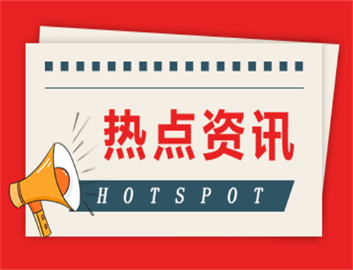 《孤注一掷》属于什么类型
