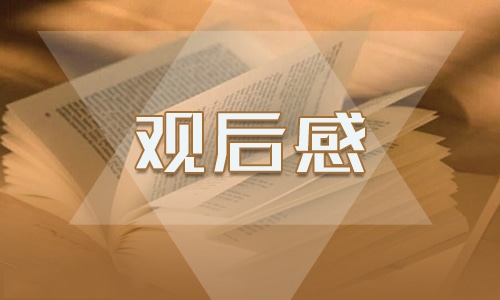 防溺水视频观后感600字