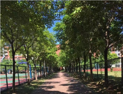 夏天大学校园青春浪漫文案