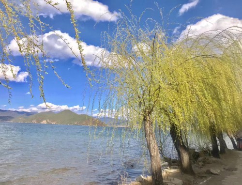 夏天骑机车摩托浪漫文案发朋友圈